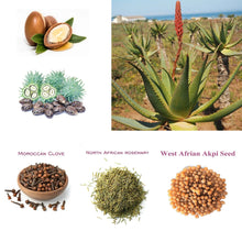 Charger l'image dans la galerie, Pousse Magique – L'Huile Chaude au Romarin Africain & Clous de Girofle"