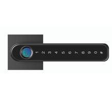 Charger l'image dans la galerie, SmartLocker- Serrure intelligente pour porte de maison à empreinte digitale biométrique