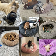 Charger l'image dans la galerie, SnuggleCloud™ Ultra-Calming Anxiety Relief Dog Bed
