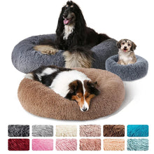 Charger l'image dans la galerie, SnuggleCloud™ Ultra-Calming Anxiety Relief Dog Bed
