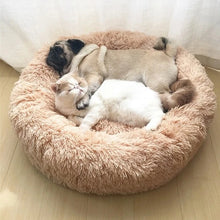 Charger l'image dans la galerie, SnuggleCloud™ Ultra-Calming Anxiety Relief Dog Bed

