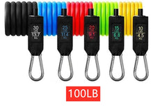 Charger l'image dans la galerie, Portable Fitness Rally
